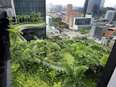 Park Royal Hotel verde Singapur