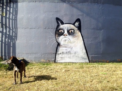 Grumpy Cat graffiti
